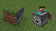 A block entity that does not have any physics or functions in a Minecraft world (Image via Sportskeeda)